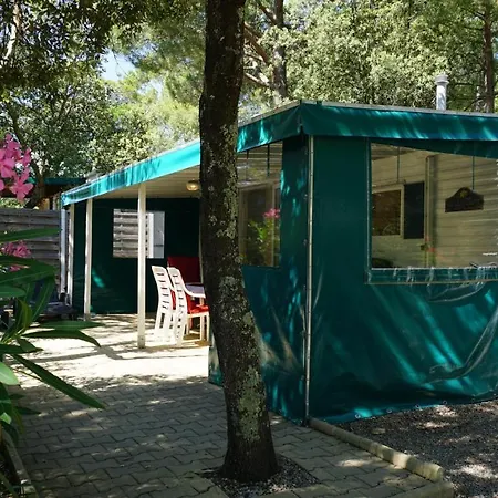 Chalets Met Buitenkeuken Op Camping Lei Suves - Joycasa Roquebrune-sur Argens Extérieur photo