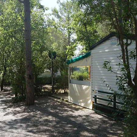 Chalets Met Buitenkeuken Op Camping Lei Suves - Joycasa Roquebrune-sur Argens Extérieur photo
