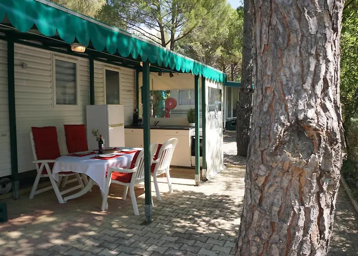 Chalets Met Buitenkeuken Op Camping Lei Suves - Joycasa