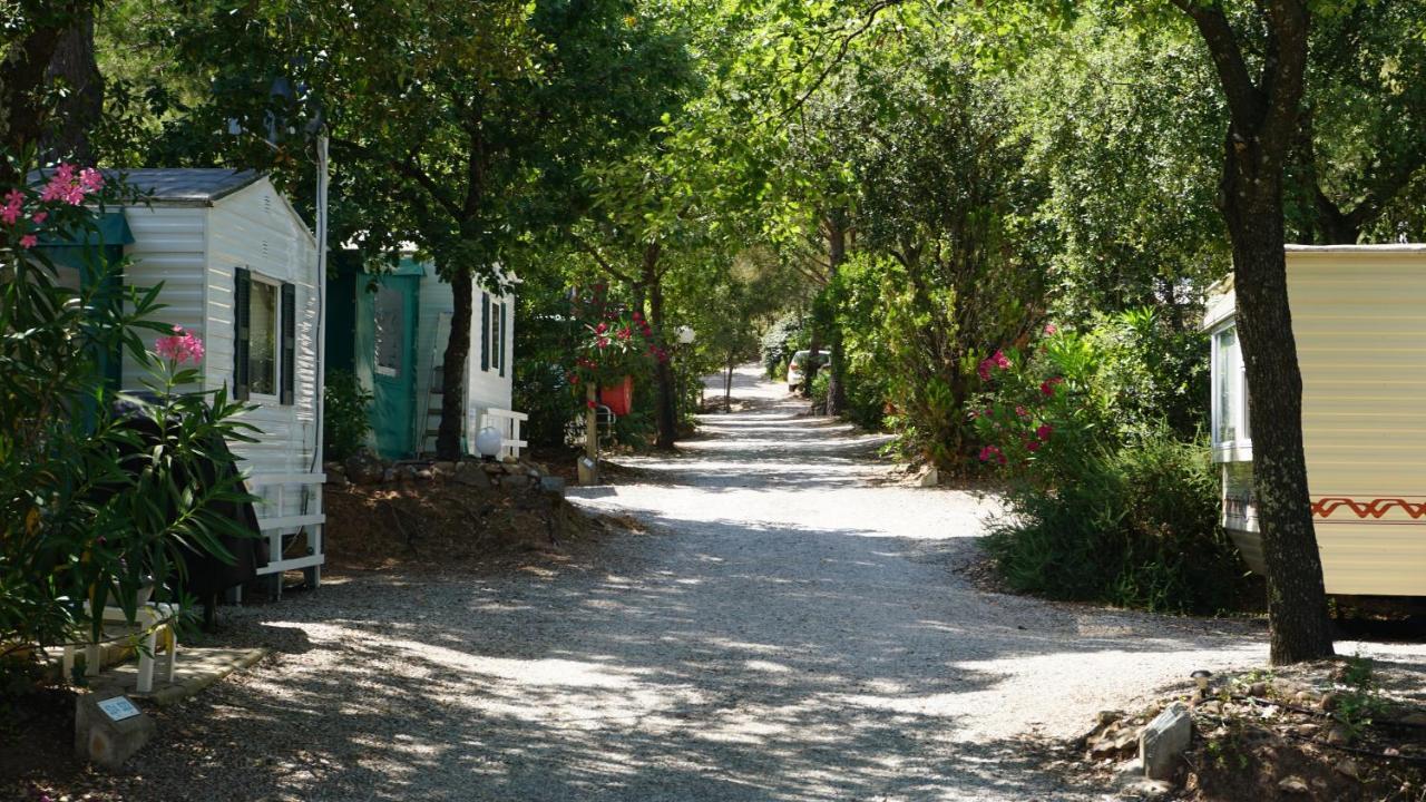 Campsite Met Buitenkeuken Op Lei Suves - Joycasa Roquebrune-sur-Argens